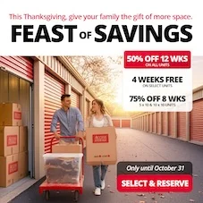 Access Storage - Wasaga Promotion