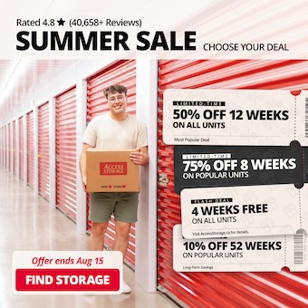 Access Storage - Wasaga Promotion